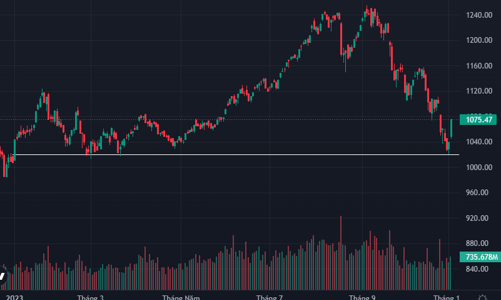 Rực rỡ, 145 cổ phiếu kịch trần, VN-Index tăng mạnh nhất từ đầu năm