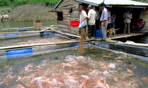 Quảng Nam yêu cầu đảm bảo sinh kế bền vững cho người dân lưu vực hồ thủy điện