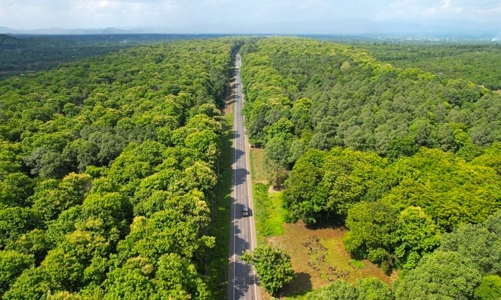 Đồng Nai: Sẽ có khu nghỉ dưỡng trong rừng phòng hộ Tân Phú