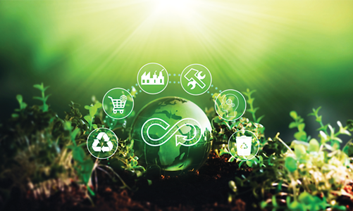 Kinh tế tuần hoàn: Lời giải cho phát triển bền vững