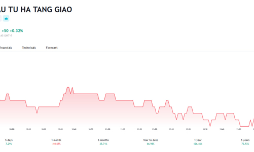 Thị giá 15.000 đồng, HHV lên kế hoạch chào bán hơn 82 triệu cổ phiếu tại mệnh giá