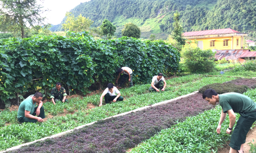 Tìm giải pháp phát triển hệ thống kinh doanh thực phẩm an toàn