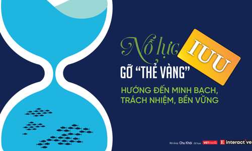 [Interactive]: Nỗ lực gỡ “thẻ vàng” IUU, hướng đến minh bạch, trách nhiệm, bền vững