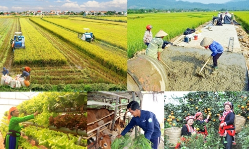 Đến năm 2025, phấn đấu giảm tỷ lệ hộ nghèo cả nước dưới 1% 