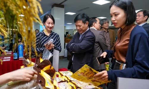 Đẩy mạnh kết nối tiêu thụ sản phẩm miền núi, vùng sâu, vùng xa và hải đảo