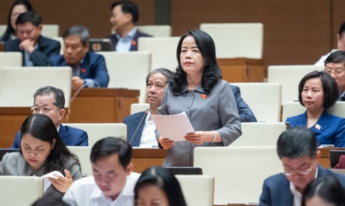 Đại biểu Quốc hội băn khoăn về xác định giá trị thiệt hại 2 vụ án Vũ 