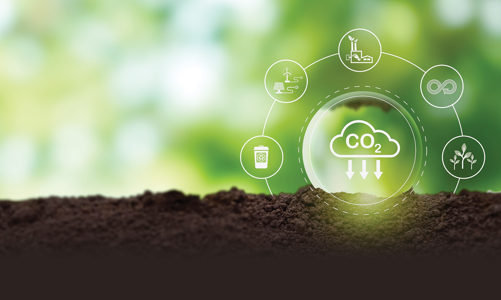 Việt Nam tiến gần hơn tới thị trường tín chỉ carbon