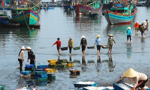 Tái cấu trúc ngành thủy sản phải “song hành” với sinh kế của ngư dân