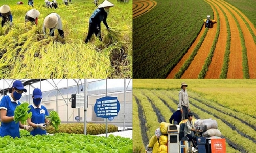 ASEAN đánh giá Việt Nam là điểm sáng về phát triển nông thôn 