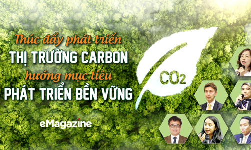 Thúc đẩy phát triển thị trường carbon, hướng mục tiêu phát triển bền vững