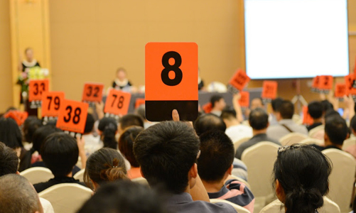 Chặn tình trạng “quân xanh, quân đỏ”, cò mồi, bỏ cọc trong đấu giá tài sản