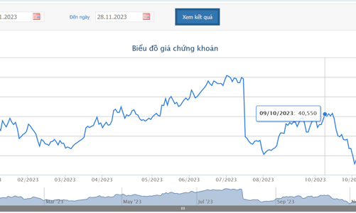 Kiểm soát viên HAH bán nhầm 5.000 cổ phiếu do 