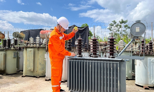 Sắp đấu giá cổ phần NEEM do EVNPC sở hữu với giá khởi điểm 12.000 đồng/cổ phần