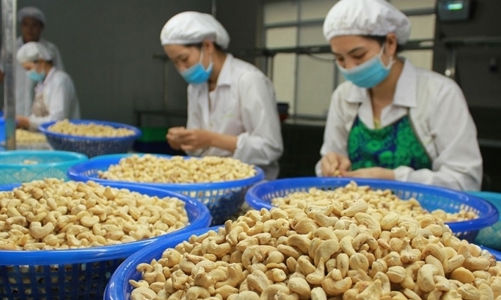 Lừa đảo trong thương mại quốc tế ngày càng tinh vi: Doanh nghiệp Việt cần chủ động phòng tránh