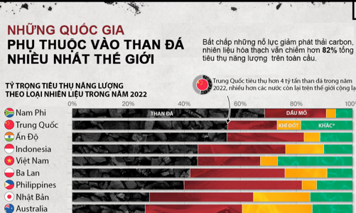 Những quốc gia phụ thuộc vào than đá nhiều nhất thế giới, Việt Nam trong top 5