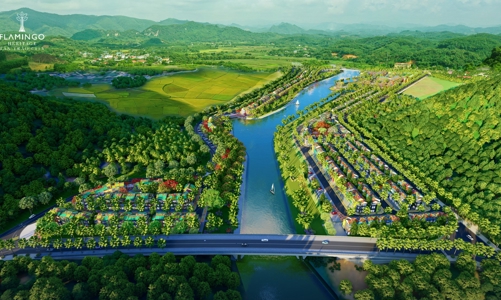 Flamingo - Dấu chân thầm lặng làm đẹp những miền xanh Tổ quốc