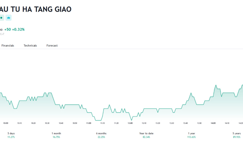 Tập đoàn Đèo Cả muốn mua 1,5 triệu cổ phiếu HHV