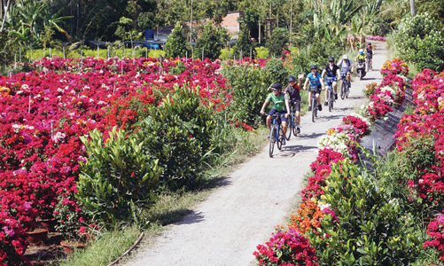 Tái hiện không gian văn hóa xứ dừa tại TP.HCM