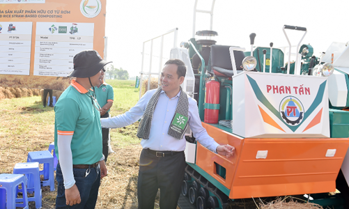 Triển khai Đề án phát triển bền vững 1 triệu ha lúa chất lượng cao gắn với tăng trưởng xanh