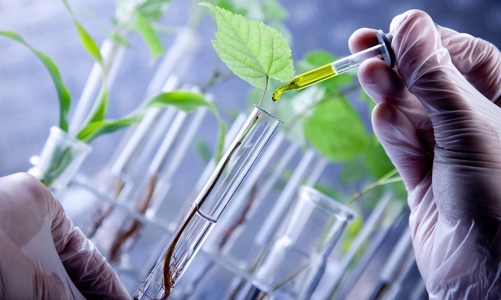 Bất hợp lý xung quanh ưu đãi thuế VAT đối với cơ sở dịch vụ khoa học và công nghệ 