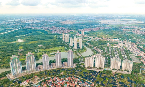 Người đầu tư bất động sản thường mua theo thói quen