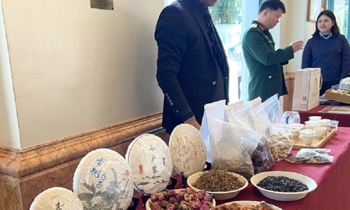 Việt Nam - Trung Quốc đẩy mạnh hợp tác sâu hơn vào các lĩnh vực tiềm năng