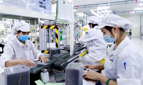 Về đích trước hạn, ngành thuế phấn đấu thu ngân sách vượt dự toán 5,5%