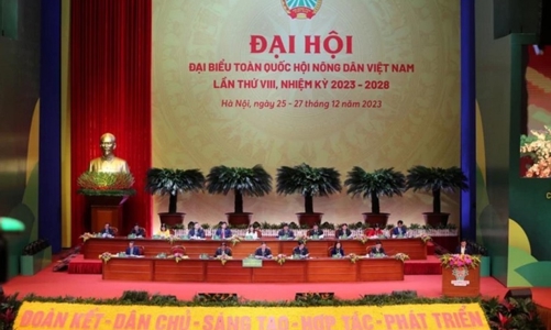 Thúc đẩy chuyển đổi số, hình thành chuỗi giá trị, chuỗi liên kết sản xuất hiệu quả trong nông nghiệp