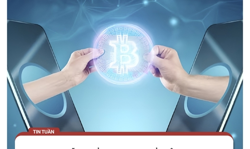 Nhiều hình thức lừa đảo bán hàng qua mạng, đầu tư tiền kỹ thuật số nở rộ