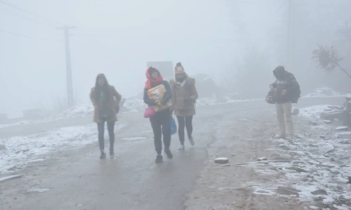 Thủ tướng yêu cầu chủ động phòng, chống rét đậm, rét hại kéo dài