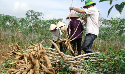 Cuối năm doanh nghiệp vẫn mòn mỏi xin hoàn thuế