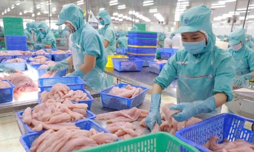 Một công ty Việt Nam xuất khẩu thực phẩm sang Singapore bị phạt 36.000 SGD