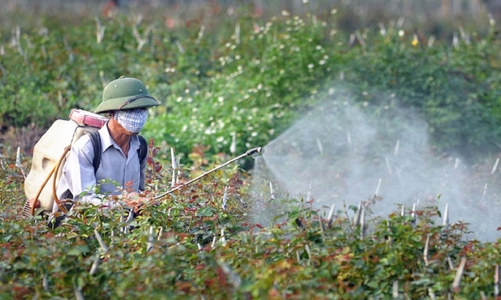 Ngành thuốc bảo vệ thực vật phát triển theo hướng xanh và bền vững