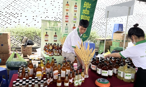 TP.HCM tổ chức Lễ hội Đặc sản bản địa Làng nghề truyền thống Việt Nam