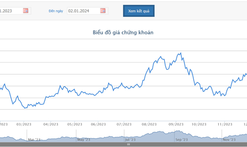 Cổ đông NVL thông qua phát hành 200 triệu cổ phiếu riêng lẻ và 1,17 tỷ cổ phiếu cho cổ đông hiện hữu