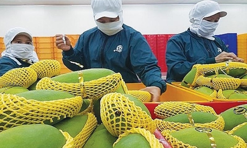 Nông sản Việt cần đầu tư công nghệ, chế biến sâu để chiếm lĩnh thị trường Hoa Kỳ