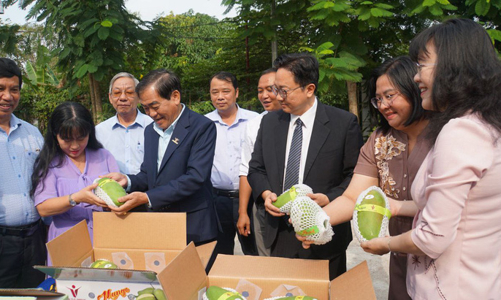 An Giang exports first batches of mangoes to Australia & US