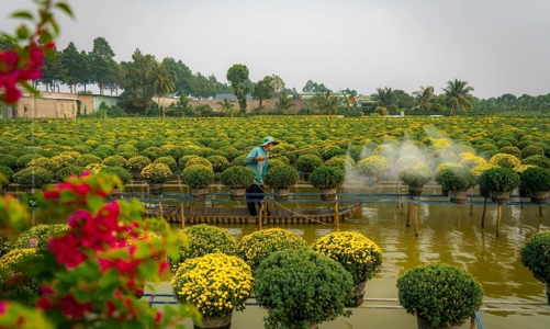 Tết Nguyên đán 2024: Tour nội “thua trên sân nhà