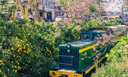 Thủ tướng chỉ đạo phát triển đường sắt tốc độ cao, phải quyết tâm làm và sẽ làm được