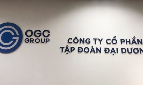 Lãnh đạo cấp cao của OGC đồng loạt từ nhiệm