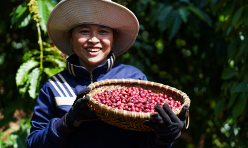 Sàn giao dịch hàng hoá thế giới vắng bóng nông sản Việt