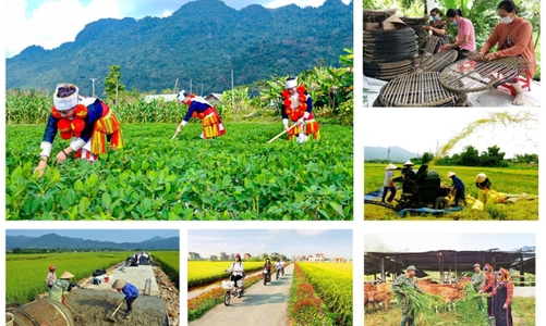 Thí điểm phân cấp cho cấp huyện trong quản lý, tổ chức thực hiện các chương trình mục tiêu quốc gia