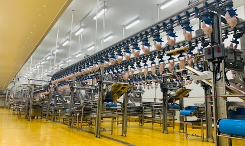 Thịt gà chế biến từ “tổ hợp trăm triệu đô” chinh phục những thị trường khó tính