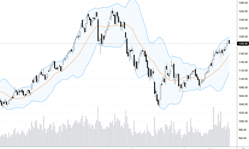 Blog chứng khoán: Thiếu nhóm dẫn dắt thay thế, đà tăng đang kiệt sức