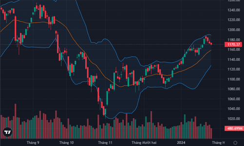 Bảng điện “đứng hình”, tiền nghỉ Tết sớm?