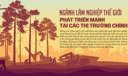 Ngành lâm nghiệp thế giới phát triển mạnh tại các thị trường chính