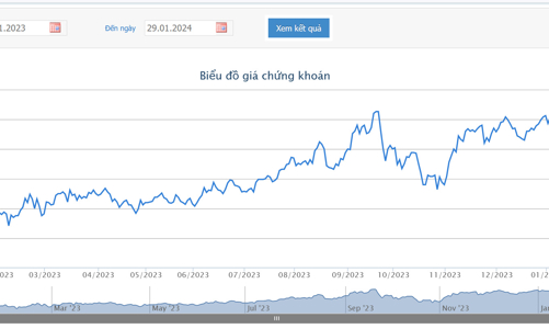 Lợi nhuận quý 1 tích cực, Phó Chủ tịch HSG vẫn quyết bán 1,5 triệu cổ phiếu