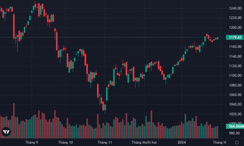 Cổ phiếu vừa và nhỏ hút dòng tiền, giá tăng cả loạt