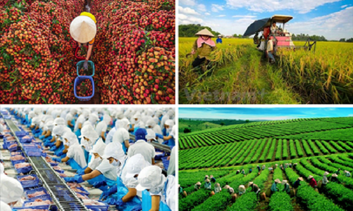 Thúc đẩy hợp tác công – tư hướng đến đổi mới sáng tạo toàn thể chuỗi giá trị ngành nông nghiệp