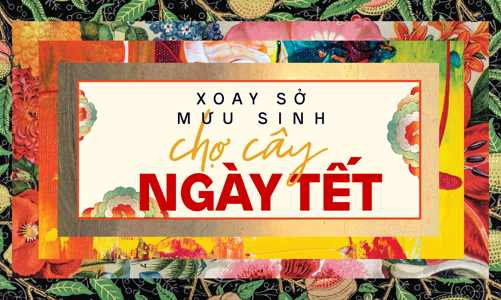 Xoay sở mưu sinh chợ cây cảnh Tết
